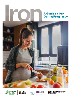 A-Guide-on-Iron-During-Pregnancy-Final summary image
								  