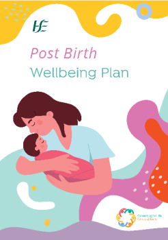 HSE-Southwest-post-birth-wellbeing-plan.pdf summary image
										