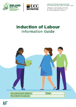 Induction-of-Labour-booklet summary image
										