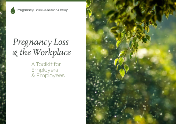 PLRG_PLACES_Toolkit_2025_Final-compressed summary image
								  