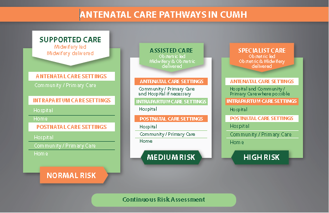 Antenatal Care Pathways background image